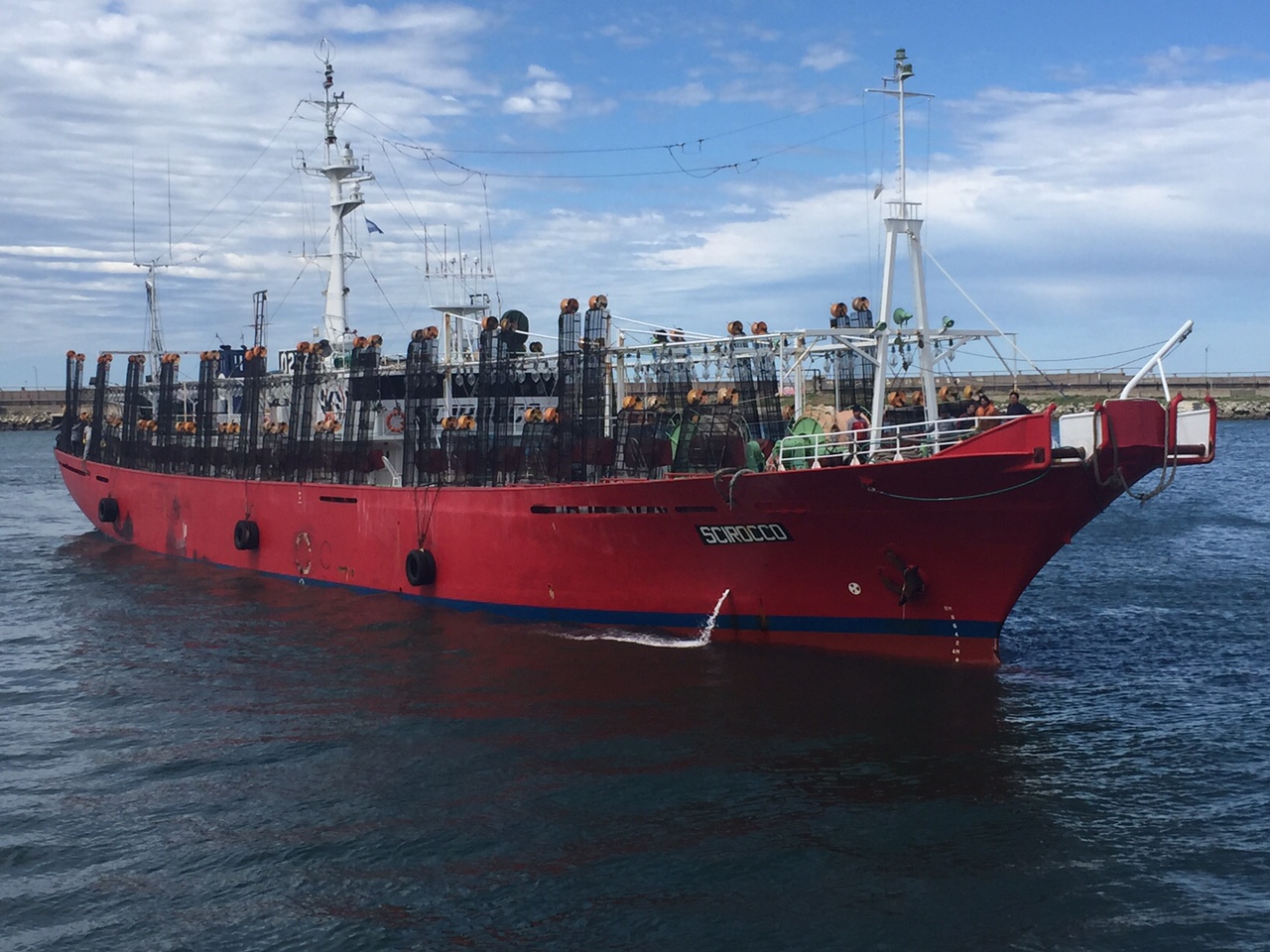 Cayó el rendimiento del calamar y los armadores piden abrir el área norte