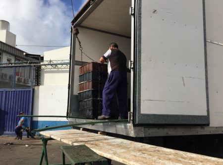 Leve retroceso en los desembarques de merluza