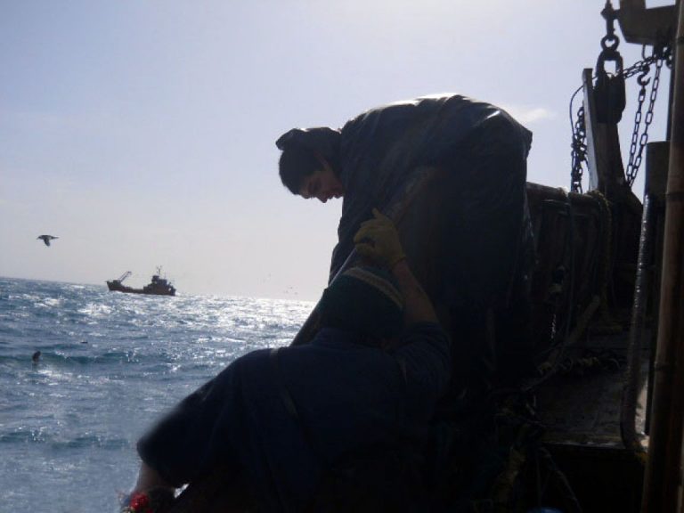 La FAO quiere rastrear el pescado desde el mar hasta la mesa para frenar las capturas ilegales