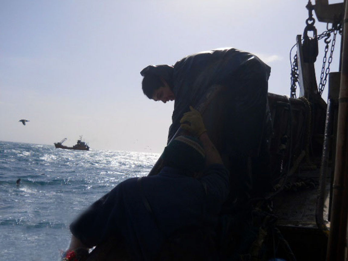 La FAO quiere rastrear el pescado desde el mar hasta la mesa para frenar las capturas ilegales