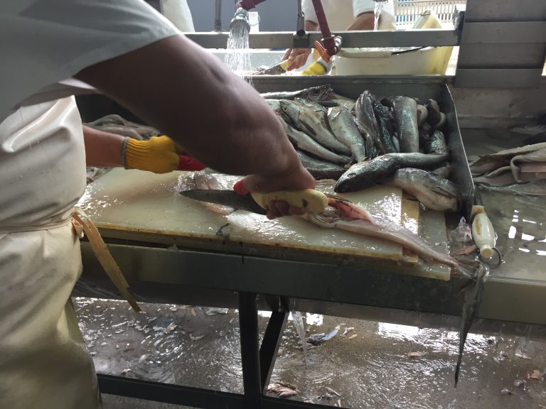 Refuerzan reintegros a las exportaciones por un año