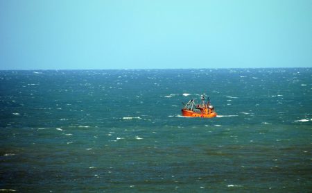 Zona Común de Pesca: fijan captura máxima de gatuzo, pez ángel, palo y besugo