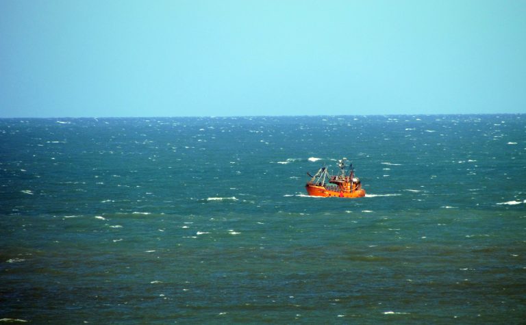 Zona Común de Pesca: fijan captura máxima de gatuzo, pez ángel, palo y besugo
