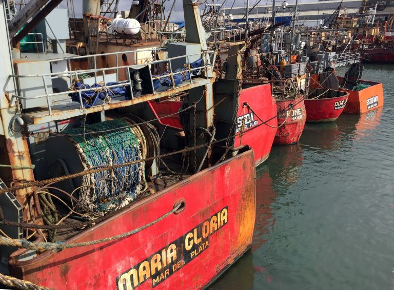 Congestión de los muelles: analizan opciones para liberar espacios