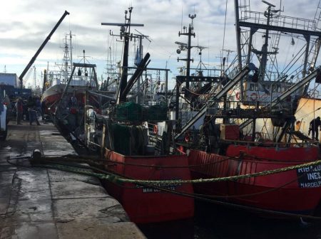 Abrir谩n dos sub谩reas para la pesca de langostino en aguas nacionales