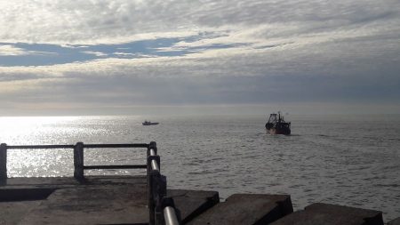Unos cuarenta barcos fresqueros emigran de Mar del Plata para pescar langostino