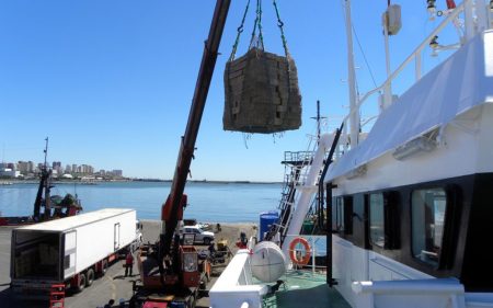 Los desembarques se recuperaron durante 2017