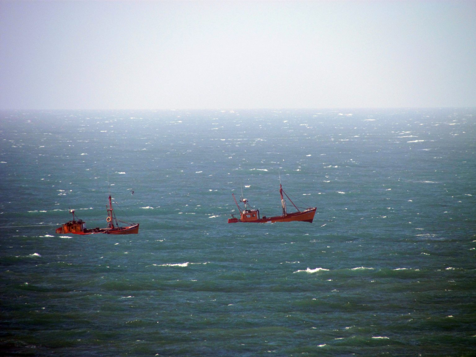 La justicia ratificó fallo de prohibición de pesca de arrastre frente a las costas bonaerenses