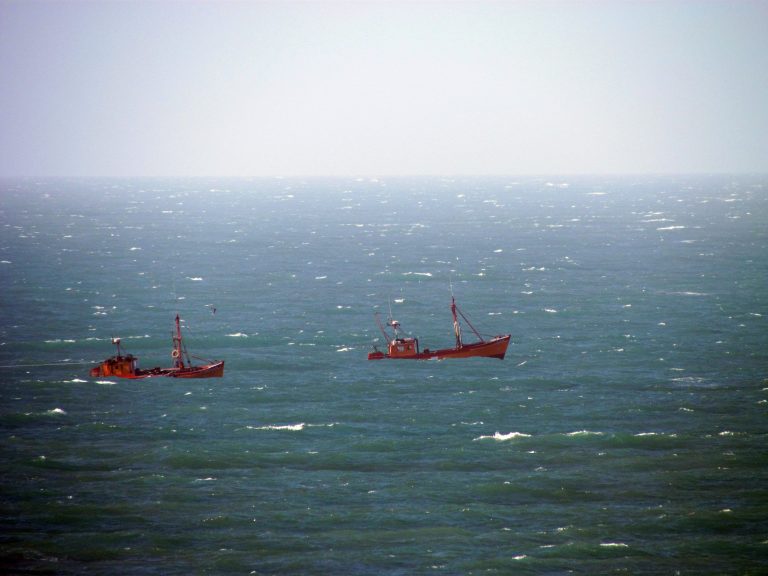 La justicia ratific贸 fallo de prohibici贸n de pesca de arrastre frente a las costas bonaerenses