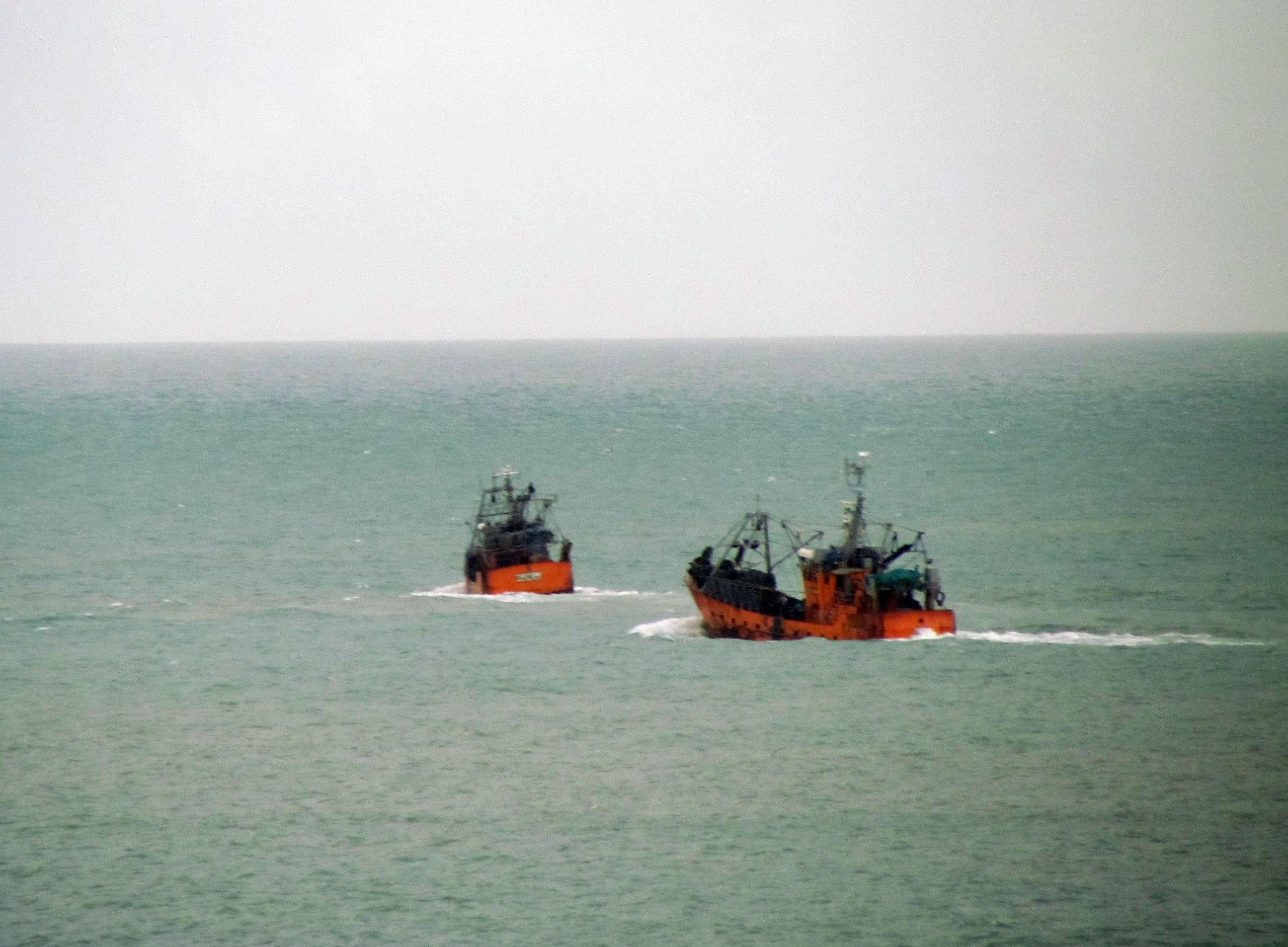 Armadores de buques costeros piden cupo extraordinario de especies pelágicas