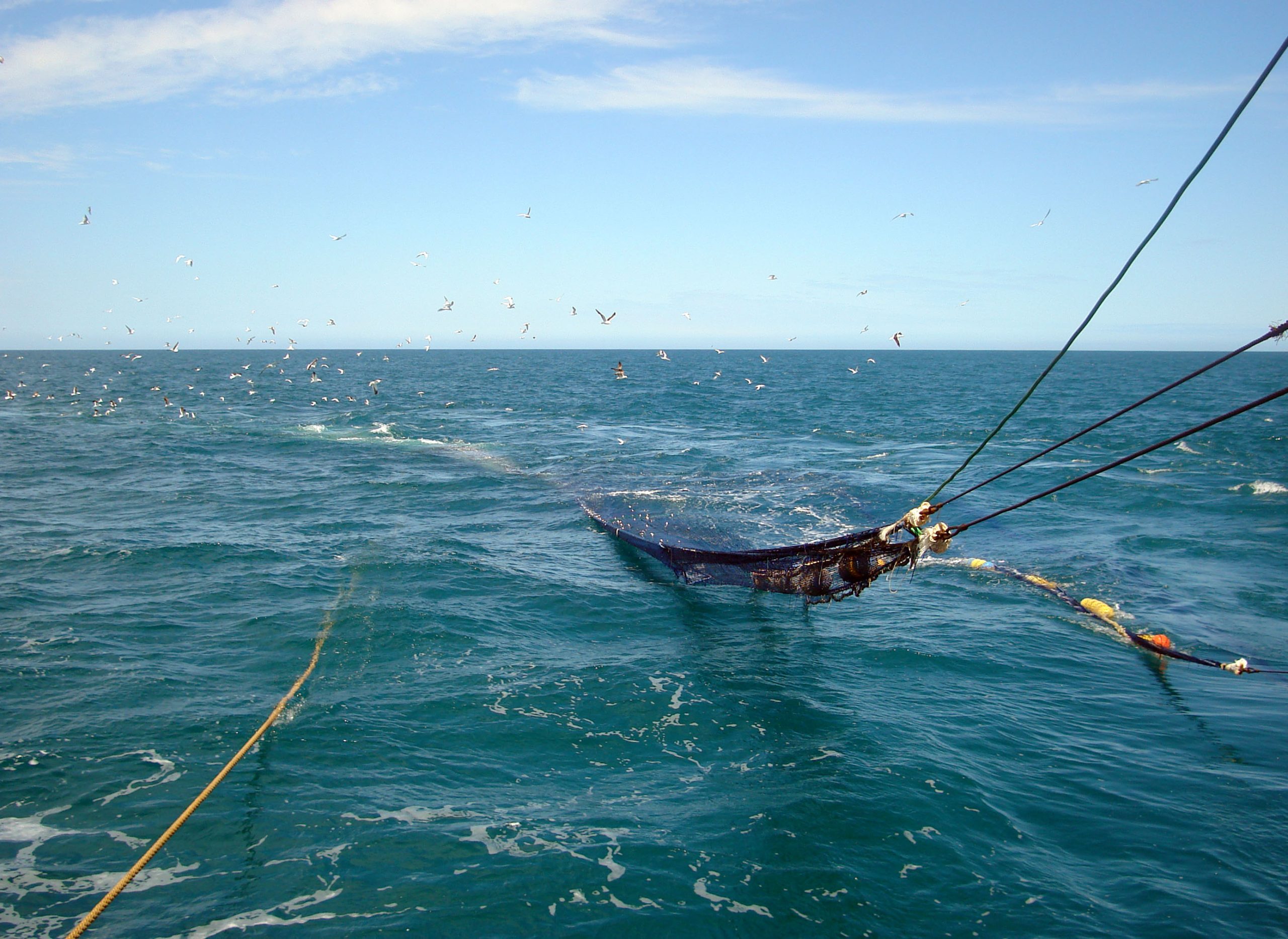 La Comisión de Seguimiento trazó un balance de la pobre temporada de anchoíta