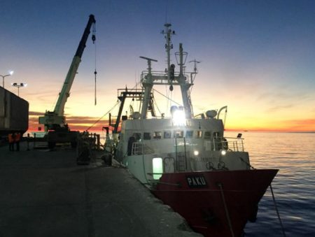 Las exportaciones de langostino superan los 500 millones de dólares