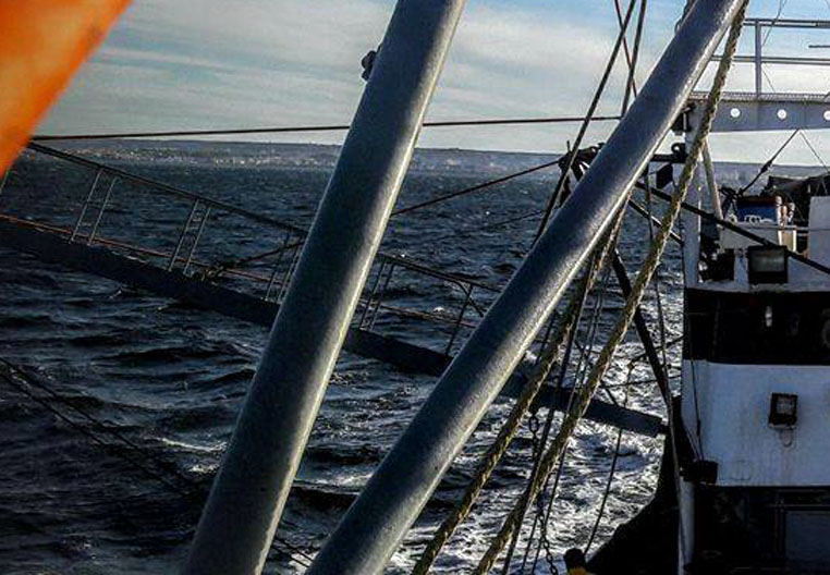 Dudas sobre la apertura de langostino entre los paralelos 42° y 43°