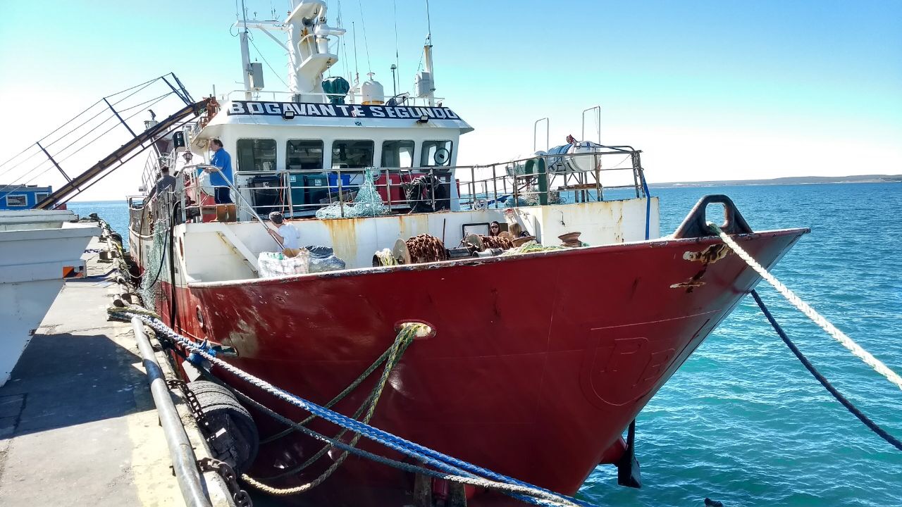 Nueva campaña de investigación sobre langostino