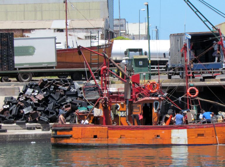 Este año volvió a retroceder el volumen de variado costero