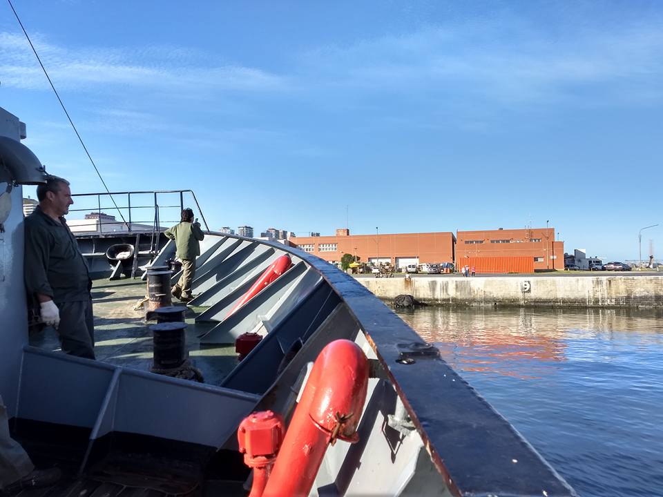 Zarpó el “Holmberg” para evaluar juveniles de merluza
