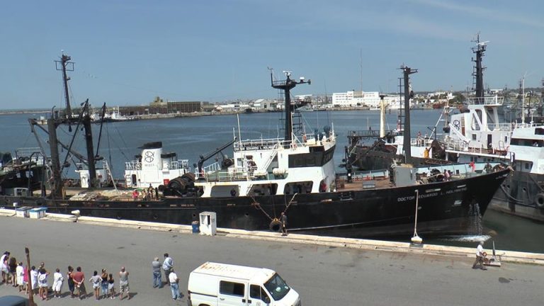 El “Holmberg” finalizó evaluación de merluza