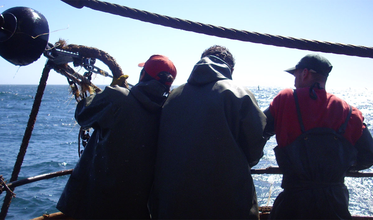 Fue suspendida la prospección de abadejo