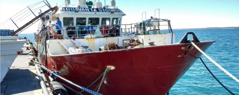 Comenzó el relevamiento biológico del langostino