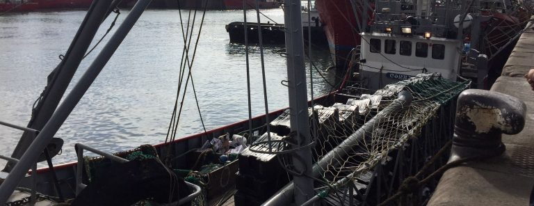 Establecen veda otoñal de merluza en la Zona Común de Pesca