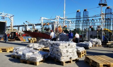 Mar del Plata, un im谩n para los buques poteros