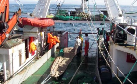 Langostino: cierre de una subzona y nueva prospección