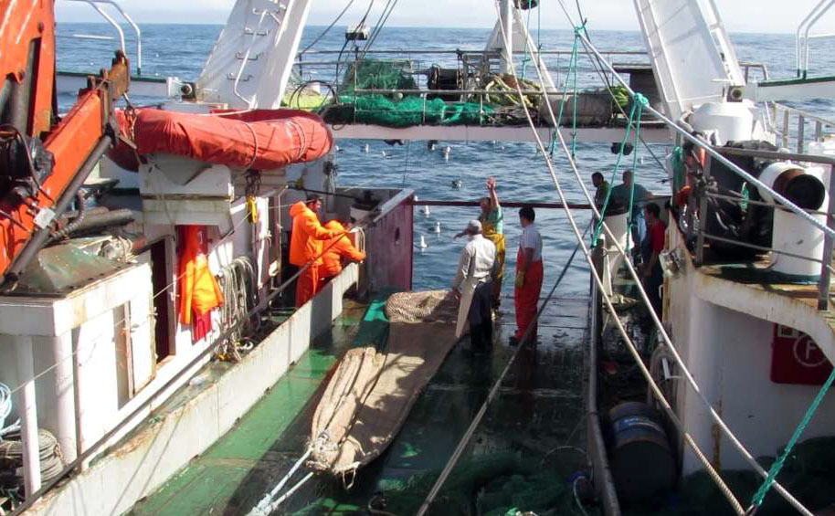 Algunos buques tangoneros ya operan sobre langostino en aguas nacionales