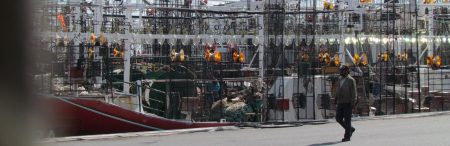 Proponen evaluar el calamar del norte con un buque arrastrero