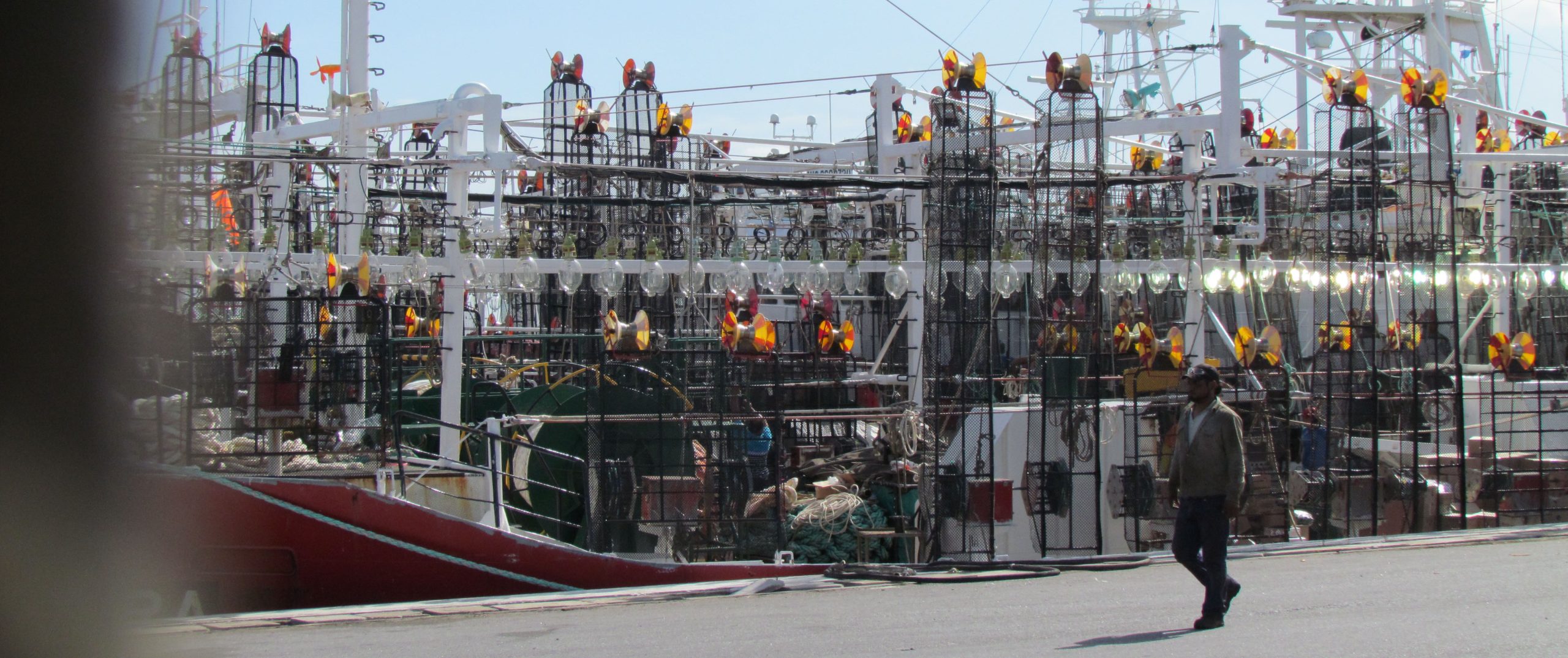 Calamar: se podría reabrir la zona norte; aunque hay cautela entre los armadores