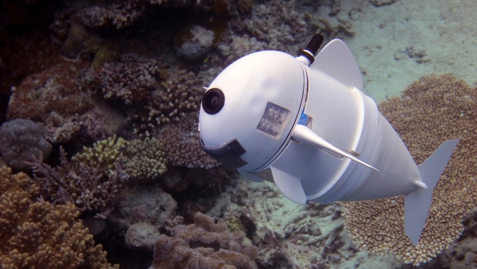 “Peces” robot se perfilan como el futuro de la investigación marina