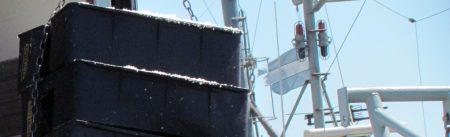 Estabilidad en los desembarques de merluza durante el primer trimestre