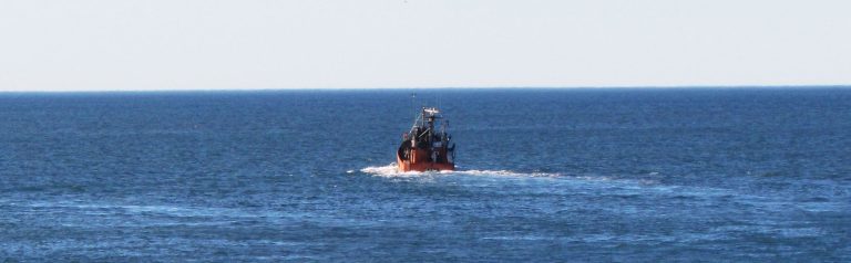 La flota costera vuelve a operar en “El Rincónâ€