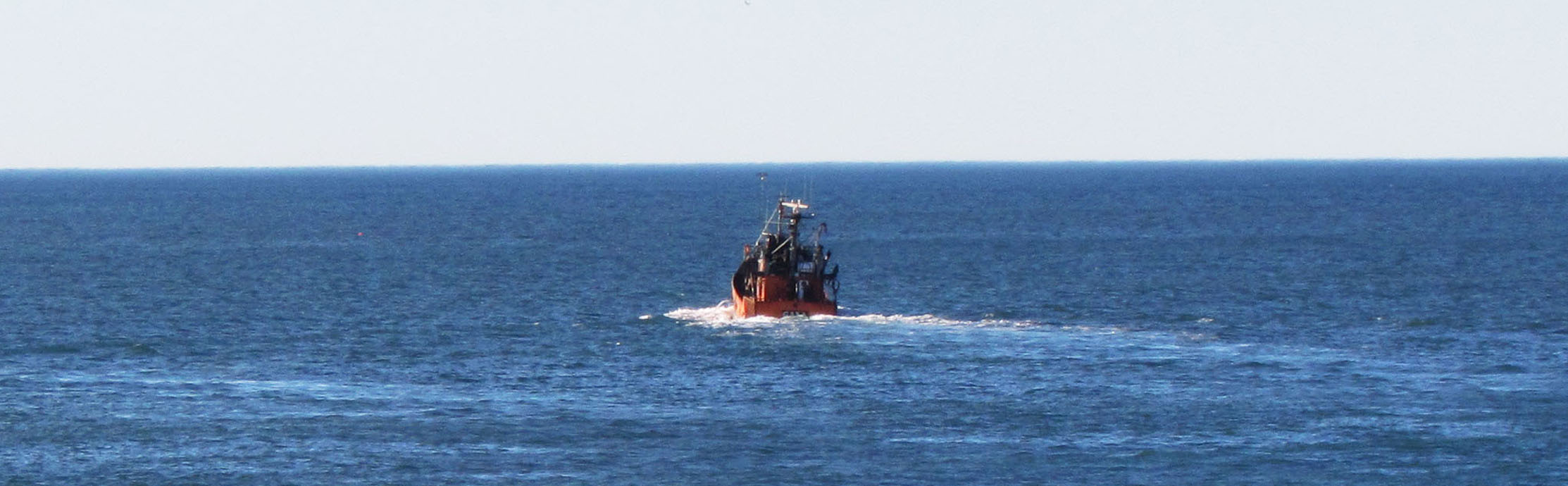 La flota costera vuelve a operar en “El Rincón”