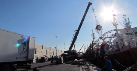 Bajan las capturas de calamar y la flota se repliega