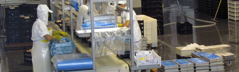 Pesqueras marplatenses accederán a la certificación sanitaria electrónica