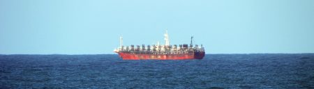 Repuntan las capturas de calamar en la zona norte