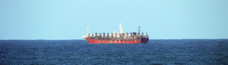 Repuntan las capturas de calamar en la zona norte