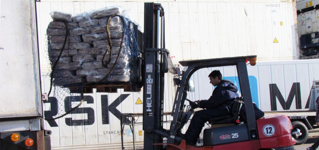 Comenzarán a descargar buques poteros y congeladores arrastreros