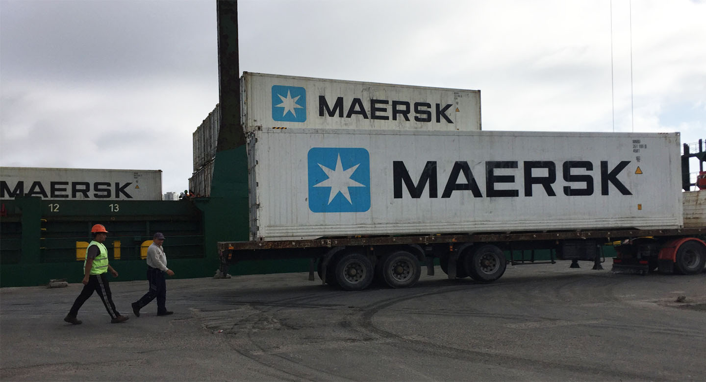 El Senasa retomó momentáneamente la certificación de exportaciones en Mar del Plata