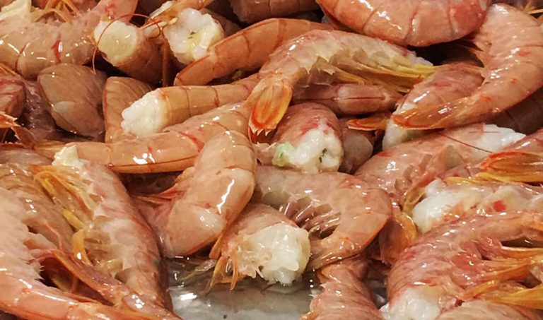 Los desembarques de langostino rozan las 70 mil toneladas