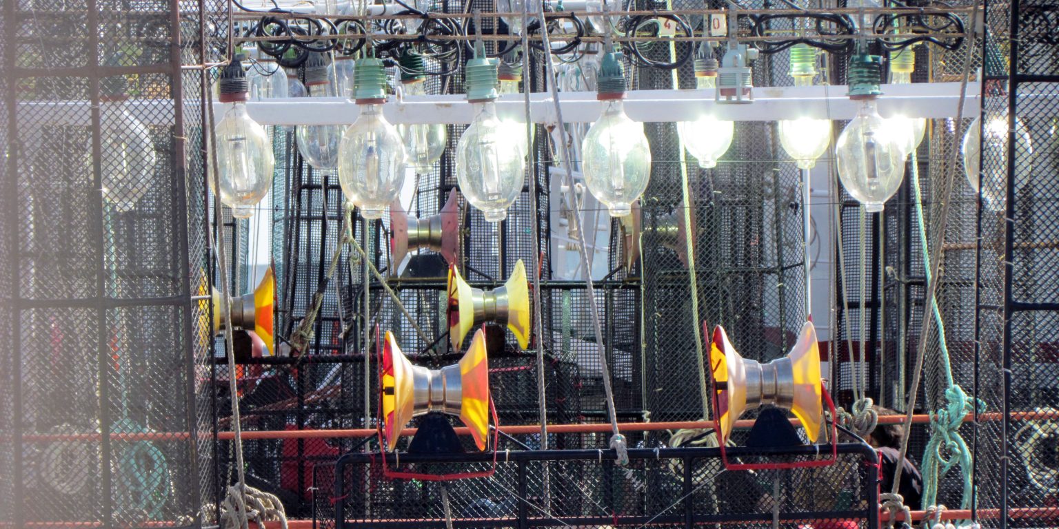 Calamar: la apertura anticipada del área norte ya tiene fecha