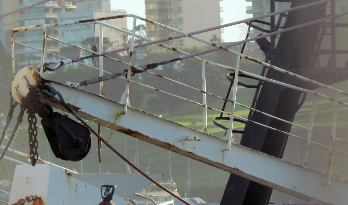 Langostino: la Cámara de Armadores aclaró que no firmó acta acuerdo complementaria con el Siconara