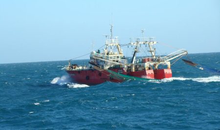 Observadores acordaron su situación laboral y cubrirán la prospección de langostino