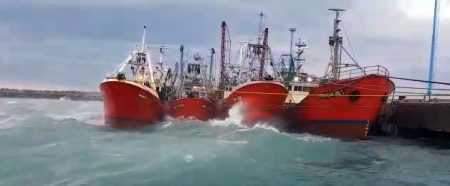 Prospección de langostino en dos áreas