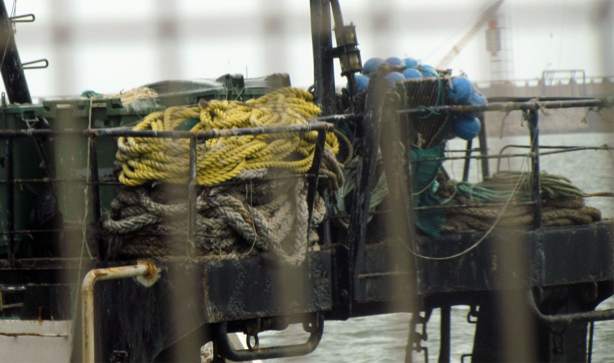 Gremios decretan paro de actividades para la flota local