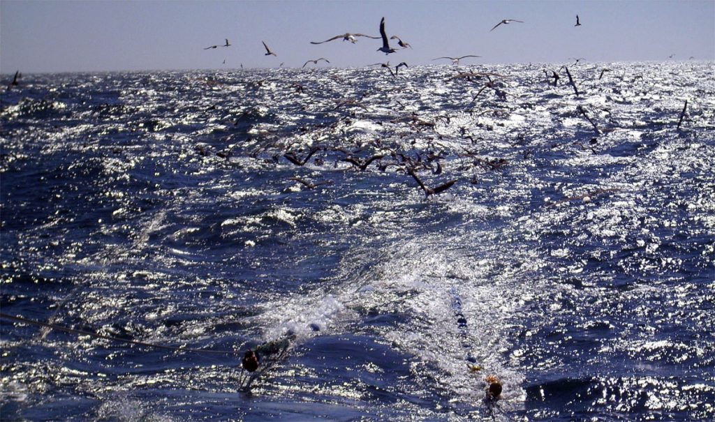 Ya ingresó el nuevo proyecto de Ley Ómnibus. La pesca al borde del certificado de defunción