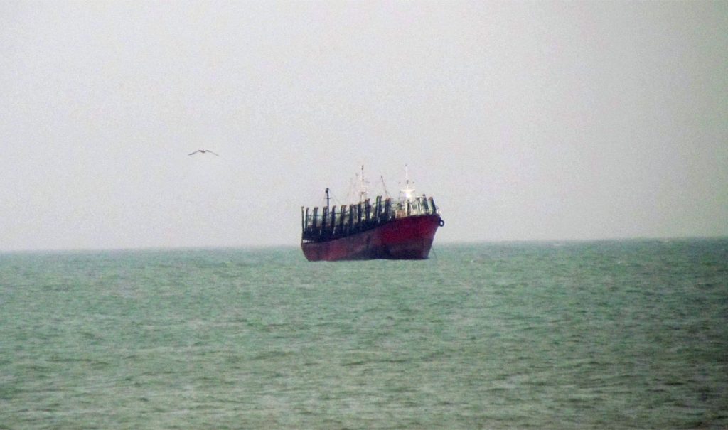 La temporada de calamar tiene un comienzo con buenas capturas