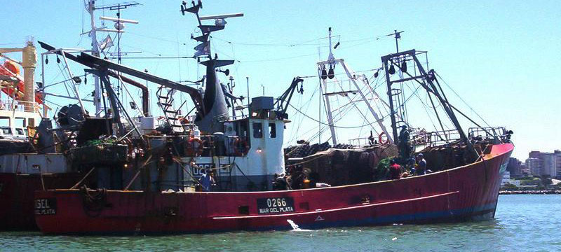 Cámaras armadoras fijaron posición en torno al naufragio del “Rigelâ€