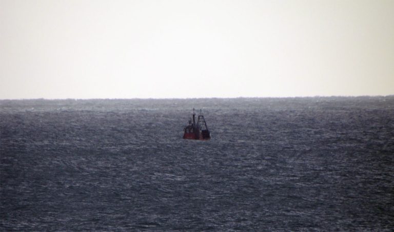 El Ministerio de Trabajo tambi茅n dict贸 conciliaci贸n obligatoria para los fresqueros de altura