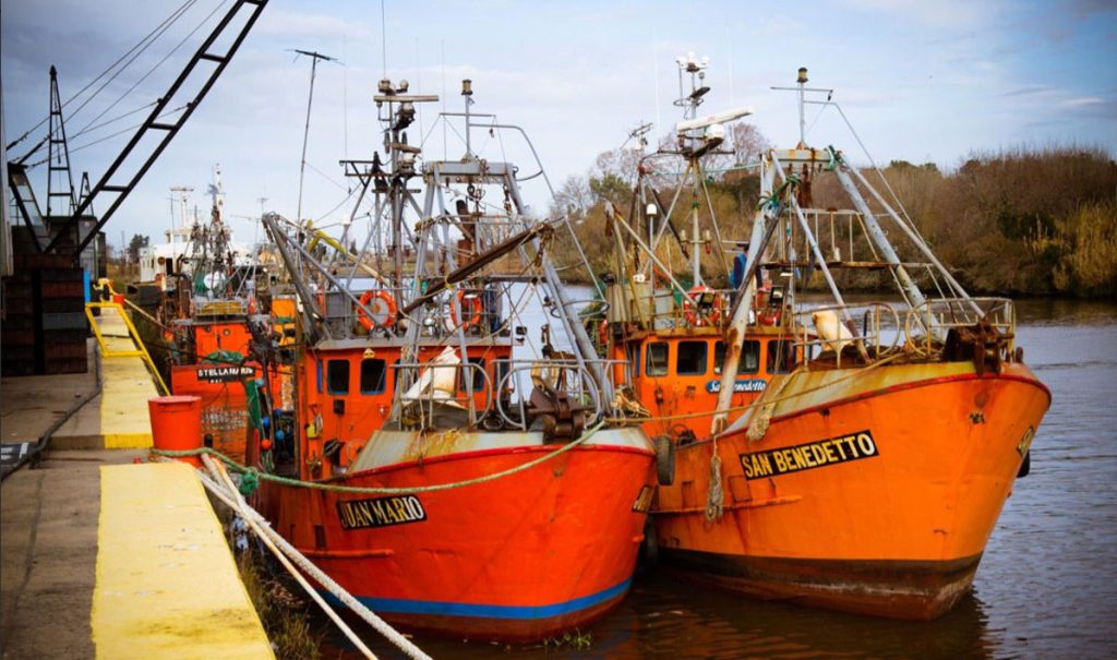 La Provincia abre la temporada de corvina puerto